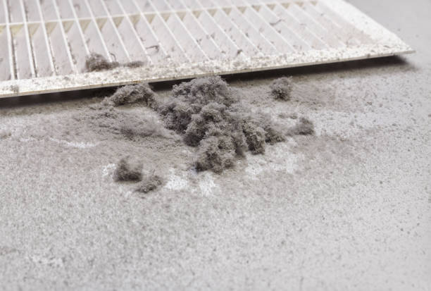 Best Emergency Air Duct Cleaning  in Plainview, TX