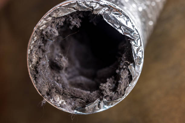 Best Best Air Duct Cleaning Company  in Plainview, TX